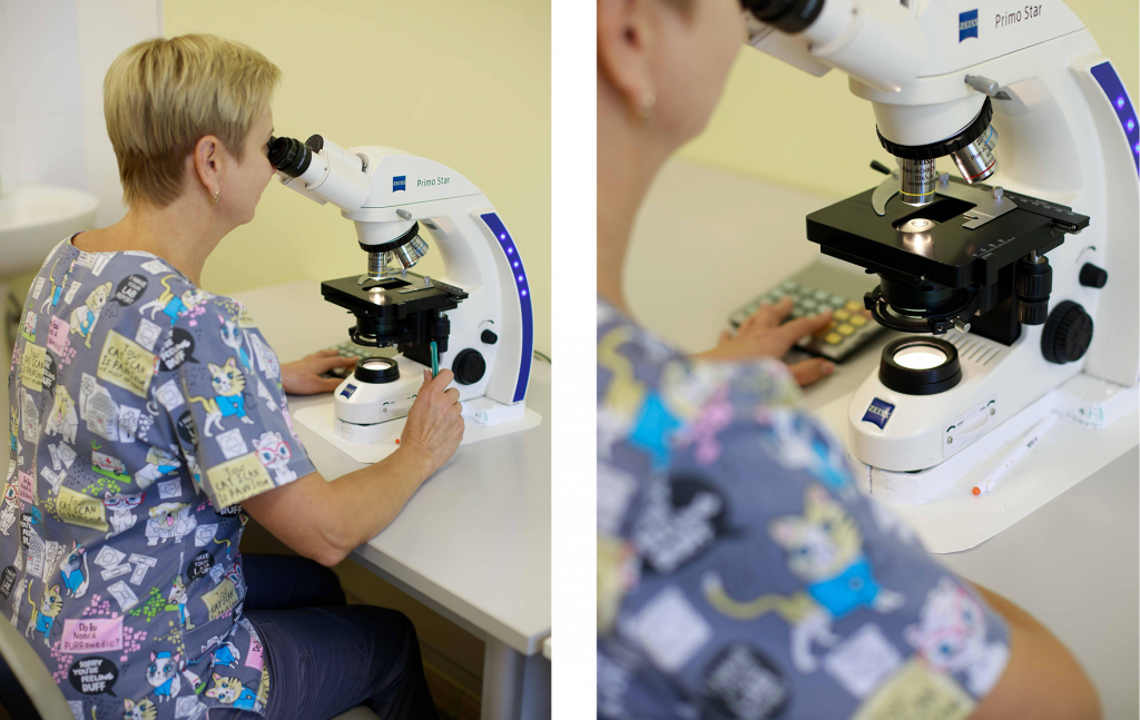 лаборатория микроскоп.png